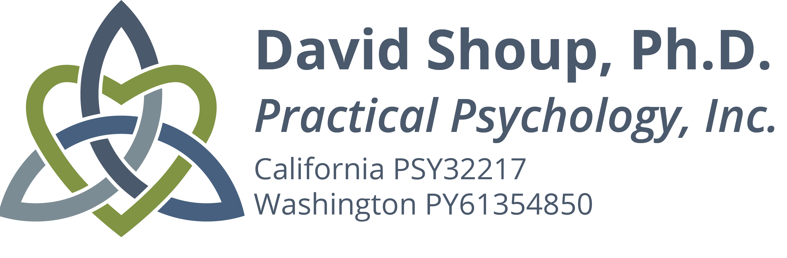 David Shoup, Ph.D.
